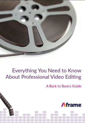 Professional Video Editing